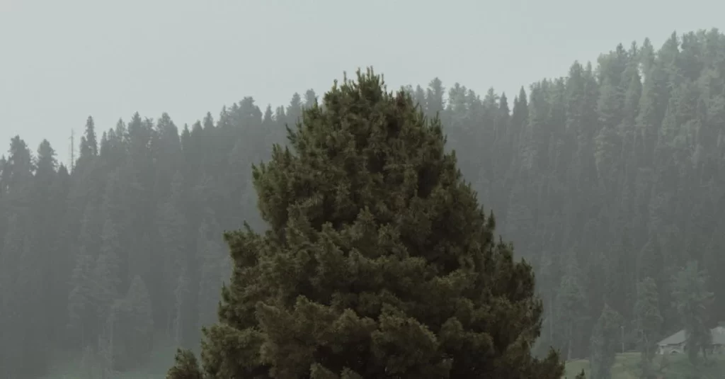 PS5-Kol-Tamiri-–-DualSense-Onarimi-Joistik-Gamepad-Tamiri-Servisi-9acbd9cc8370b5b89dceafc8e1b2d1f9