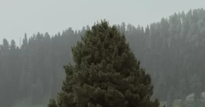 PS5-Kol-Tamiri-–-DualSense-Onarimi-Joistik-Gamepad-Tamiri-Servisi-9acbd9cc8370b5b89dceafc8e1b2d1f9