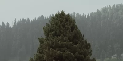 PS5-Kol-Tamiri-–-DualSense-Onarimi-Joistik-Gamepad-Tamiri-Servisi-9acbd9cc8370b5b89dceafc8e1b2d1f9